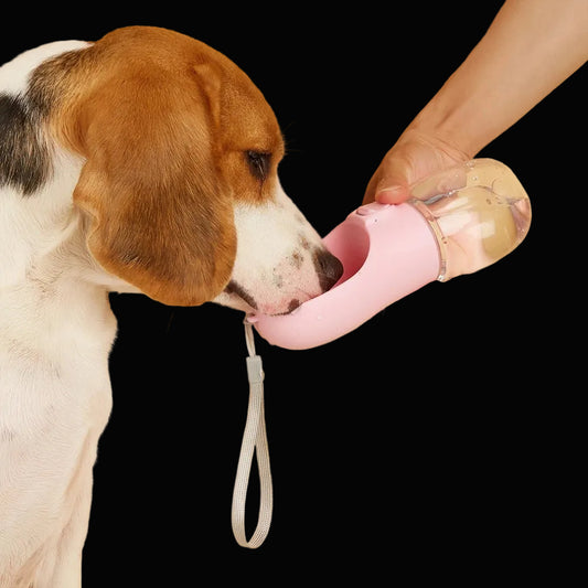 Portable Pet Water Bottle