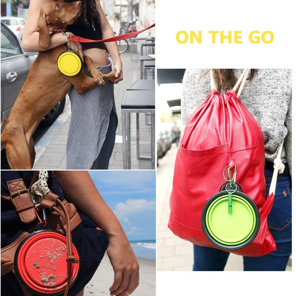 Portable PetSoft Bowls