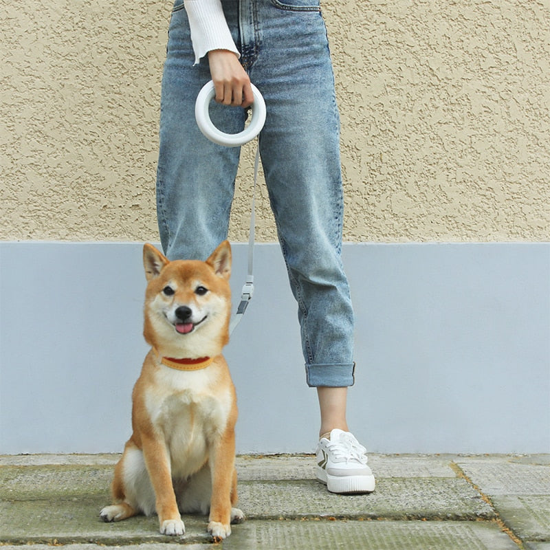 MOESTAR LED Retractable Leash