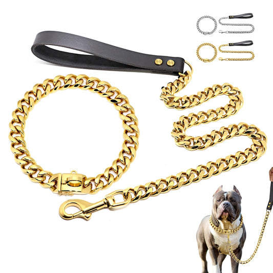 Stainless Steel Collar & Leash Set
