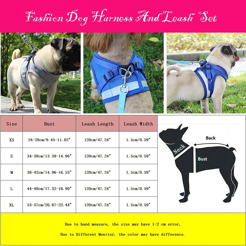 Reflective Harness w/ Leash Set