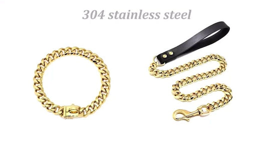 Stainless Steel Collar & Leash Set