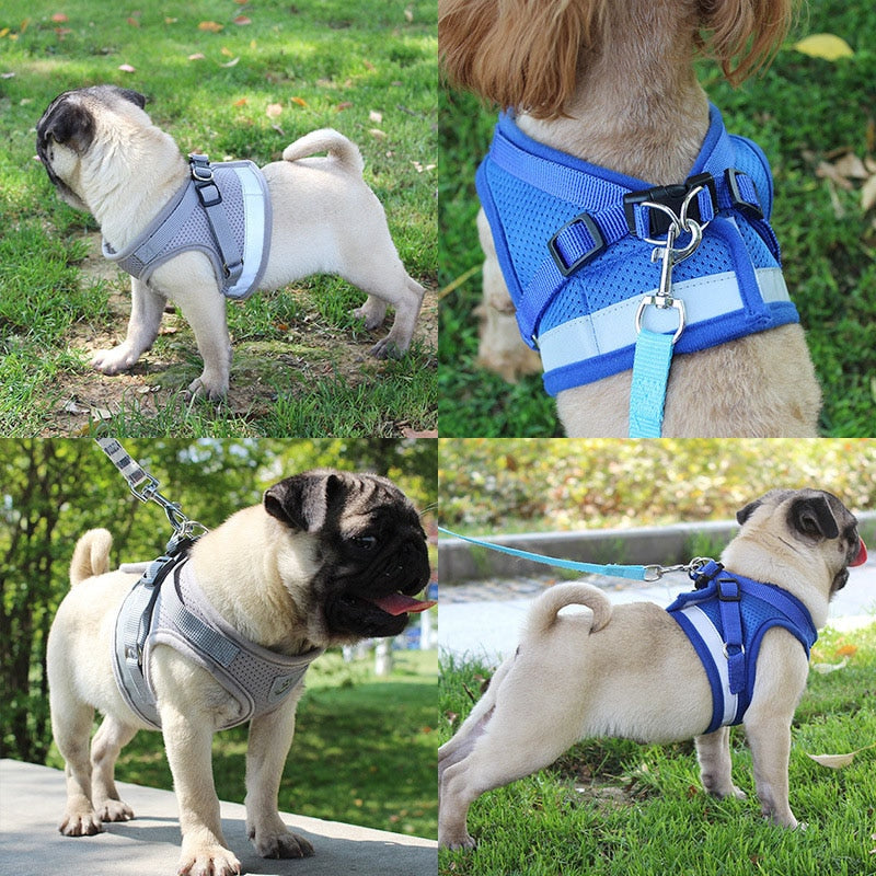 Reflective Harness w/ Leash Set