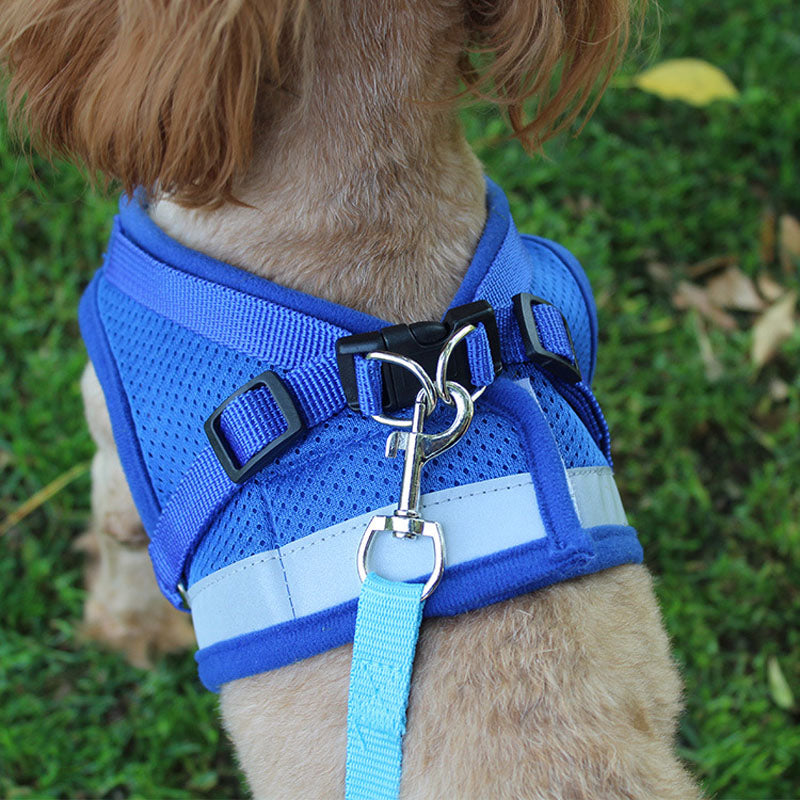 Reflective Harness w/ Leash Set