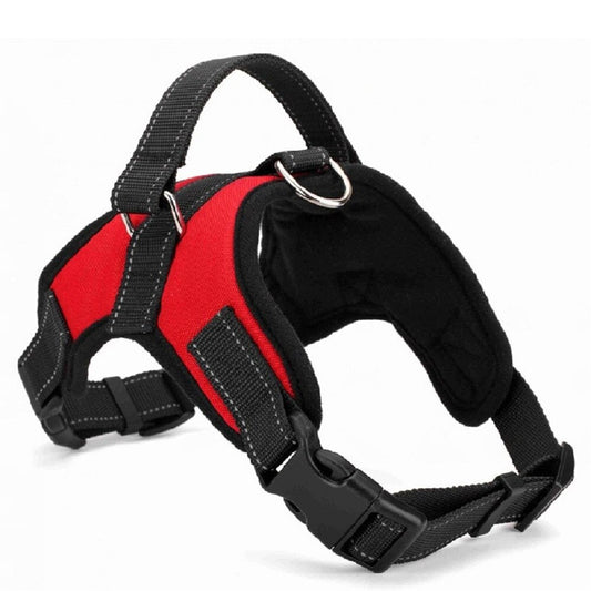 Adjustable Harness