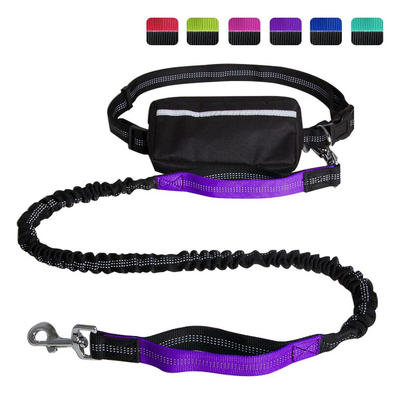 Reflective Waste Pouch w Leash