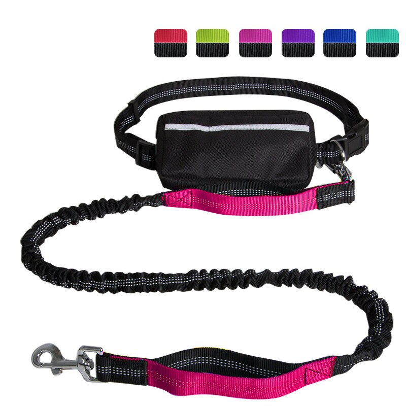 Reflective Waste Pouch w Leash