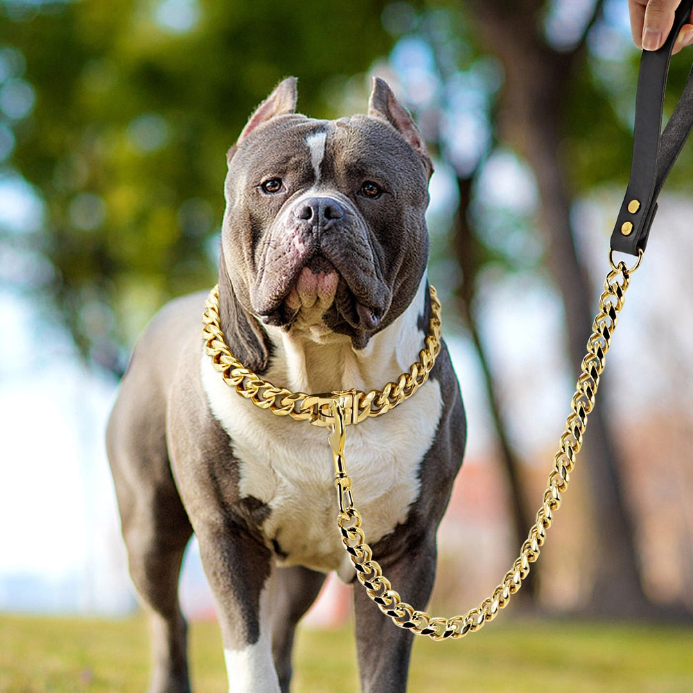 American store bully accessories