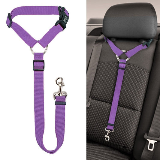 Safety Belt