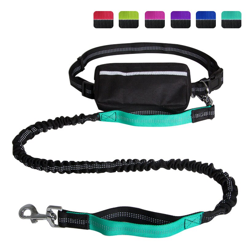 Reflective Waste Pouch w Leash