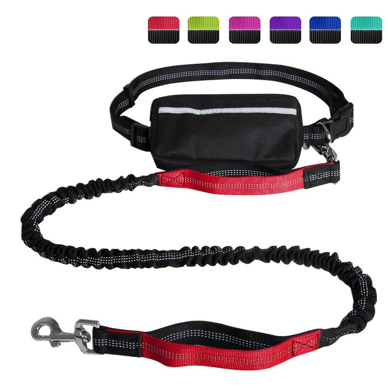 Reflective Waste Pouch w Leash