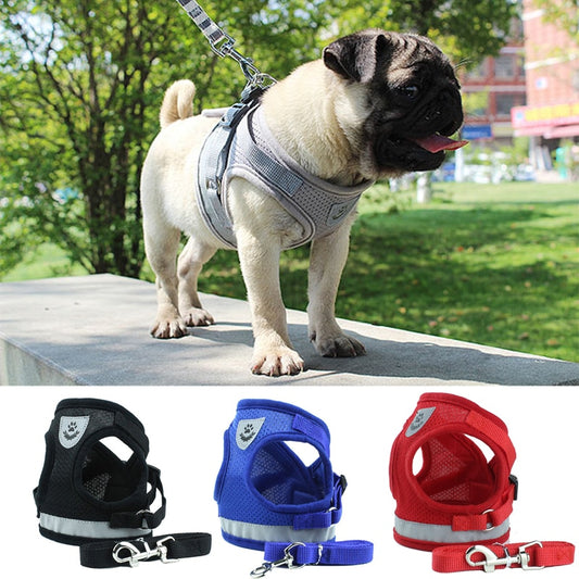 Reflective Harness w/ Leash Set