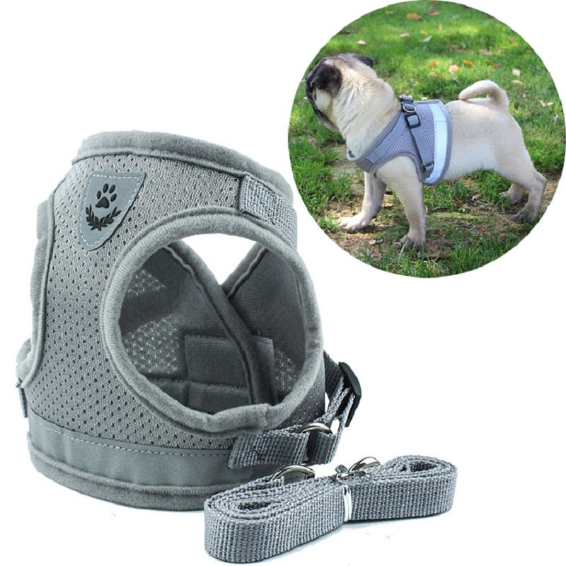 Reflective Harness w/ Leash Set