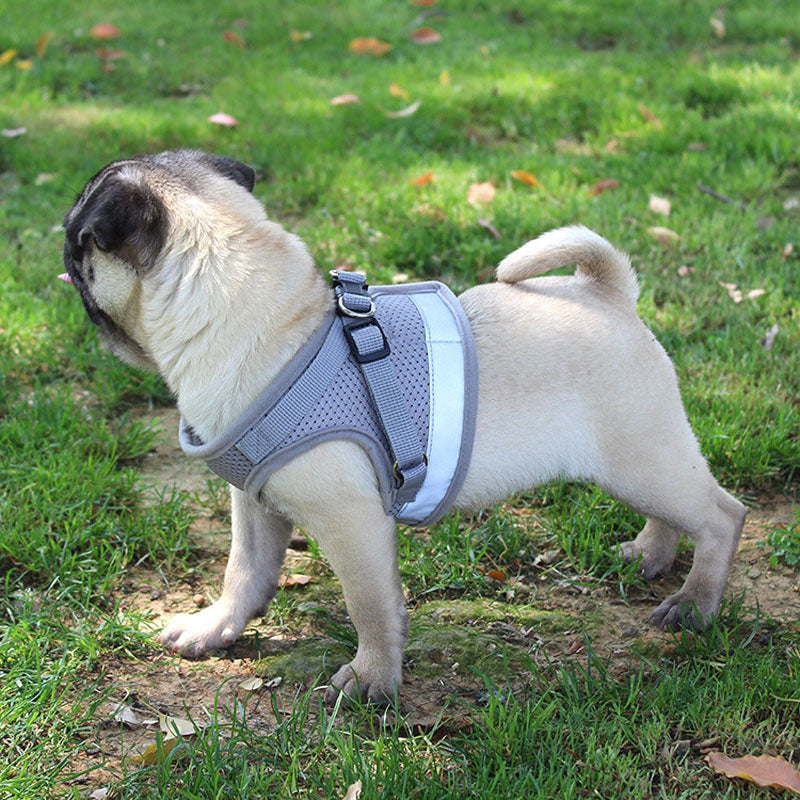 Reflective Harness w/ Leash Set