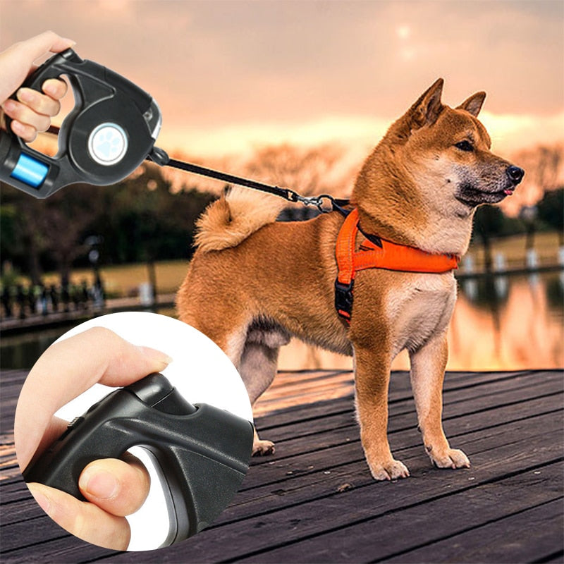 Retractable LED Leash